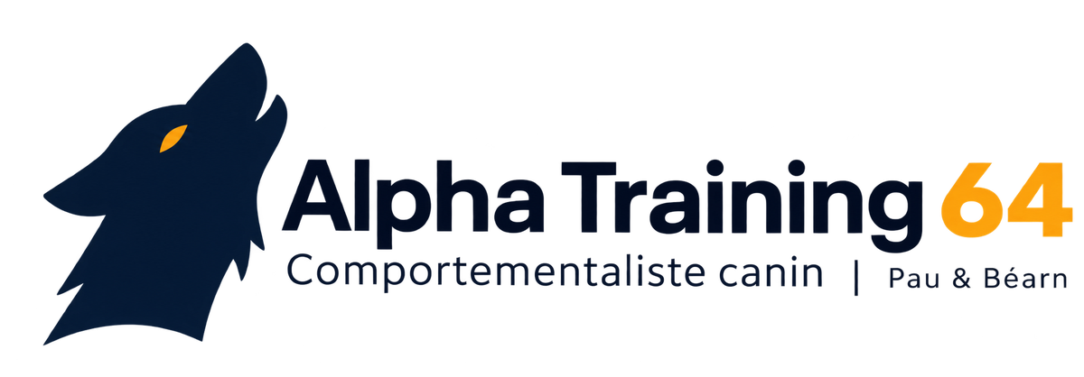 Alpha Training 64, comportementaliste canin à Pau et Béarn